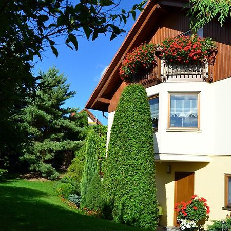 Ferienwohnung Sonnenblick Бишофсверда Екстериор снимка