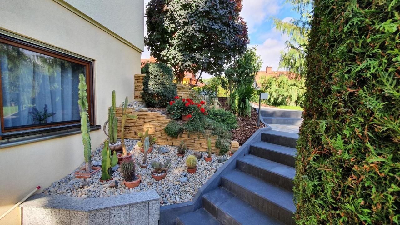 Ferienwohnung Sonnenblick Бишофсверда Екстериор снимка